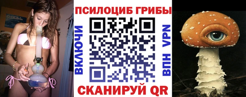 наркошоп Петухово Галлюциногенные грибы MAGIC MUSHROOMS